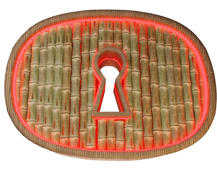 TABOO Secret Society